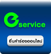 Eservice